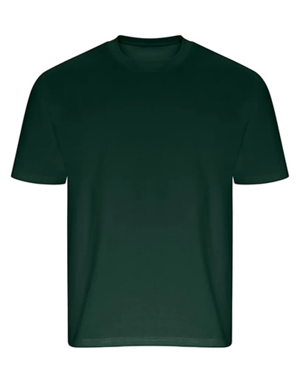EA006 Ecologie Arrow schweres T-Shirt in Übergröße