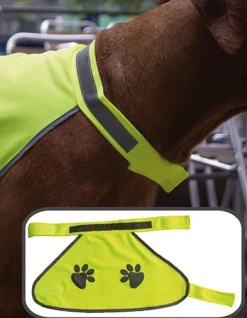 KX104 Korntex Hunde-Warnweste