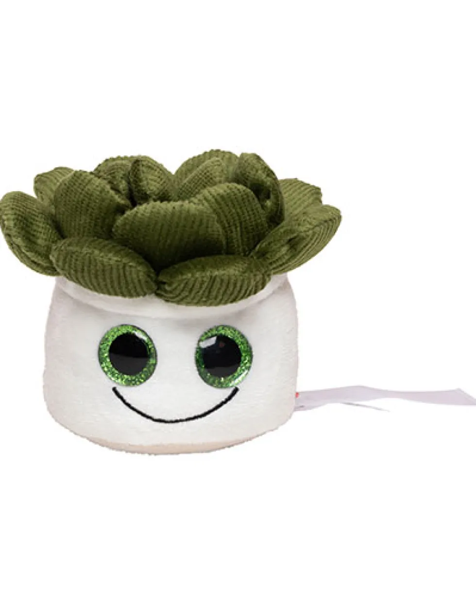 MBW160849 Mbw Schmoozies® Evergreenies® Sukkulente